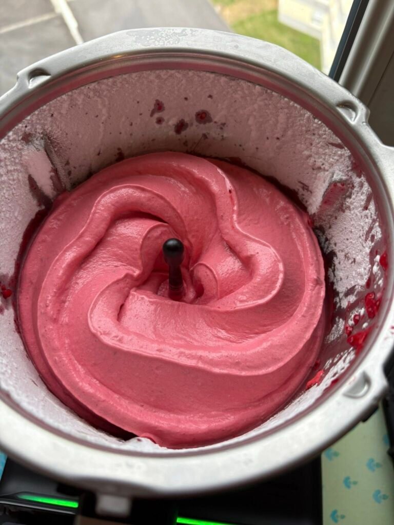 Homemade Blueberry Ice Cream
