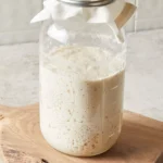 Gluten Free Sourdough Starter